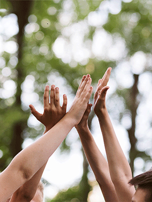 Z6���������й����ٷ���վ